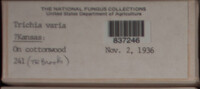 Image Associated With the Occurence
